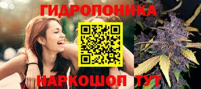 крисы Нягань