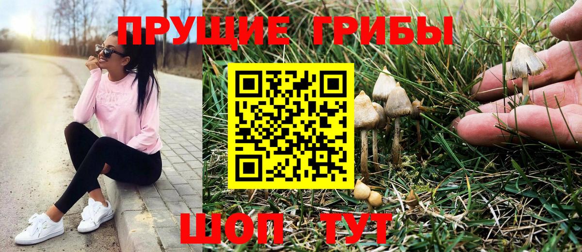 Рубцовск  Псилоцибиновые грибы мицелий  Вход с VPN 